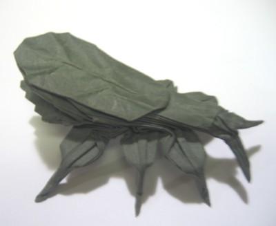 Leaf Insect